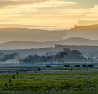 Rotary Club of Maffra Community Market - South Australia Travel