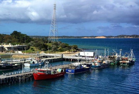 San Remo Fishing Festival - South Australia Travel 2