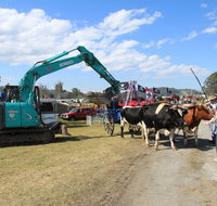 SteamFest 2021 - South Australia Travel