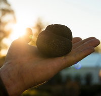 The Truffle Festival - Canberra Region - South Australia Travel