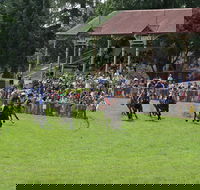 Tumut Boxing Day Races - South Australia Travel