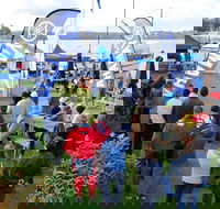 Twin Rivers Bream Classic - South Australia Travel