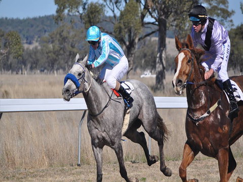 Wean Picnic Races - South Australia Travel 0