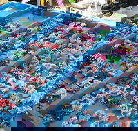 Wyee Markets - South Australia Travel