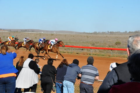 2020 Quorn Cup - South Australia Travel 0