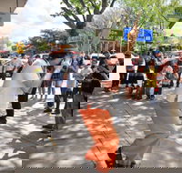 Australian National Busking Championships - South Australia Travel