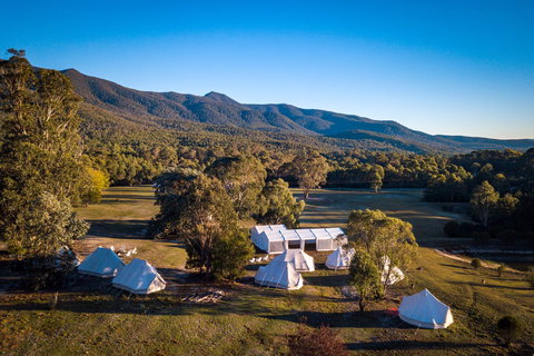 A Wild Night Out - Spring - South Australia Travel 5