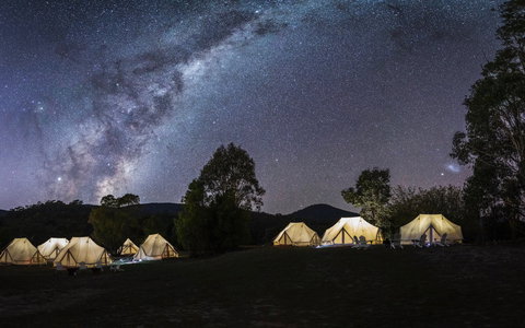 A Wild Night Out - Spring - South Australia Travel 6