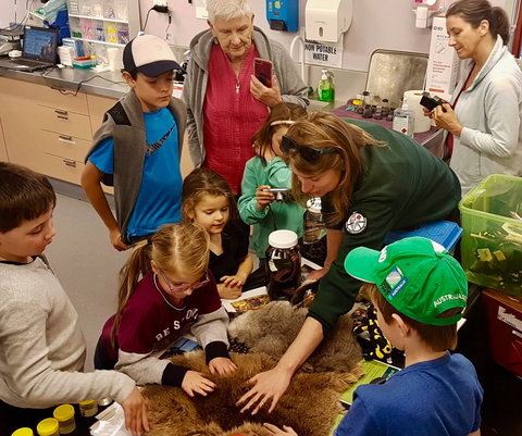 A Wild Night Out - Spring - South Australia Travel 7