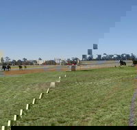 Balranald Races -Derby Day - South Australia Travel