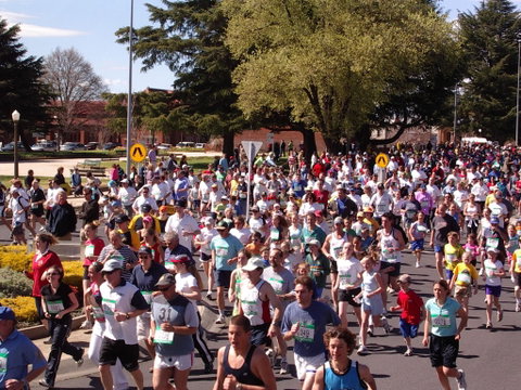 Bathurst Edgell Jog - South Australia Travel 0