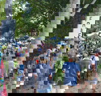 Bellingen Community Markets - South Australia Travel