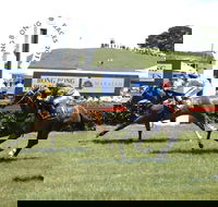 Bong Bong Picnic Races - South Australia Travel