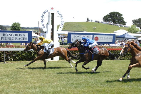 Bong Bong Picnic Races - South Australia Travel 0