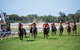Cairns Amateurs - thumb 2