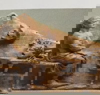 Cancelled  ADFAS Lecture - Giles Ramsay speaking about Aeschylus A Soldier in Society - South Australia Travel