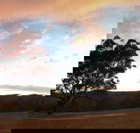 Christmas in July Jumpers and Jazz - South Australia Travel