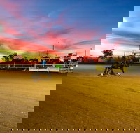 Cloncurry Stockmans Challenge and Campdraft - South Australia Travel