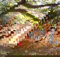 Cooktown and Cape York Expo 2021 - South Australia Travel