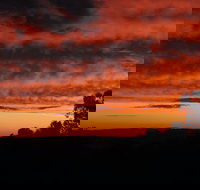 Cottontail Wines Christmas Day Lunch - South Australia Travel