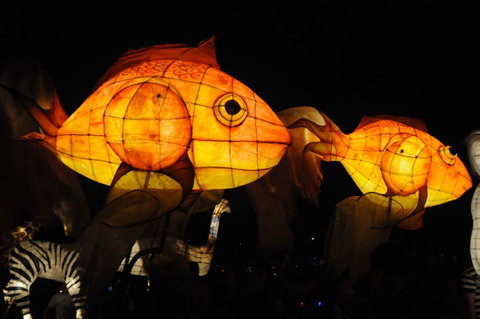 DREAM Festival: Music And Markets Event - South Australia Travel 2