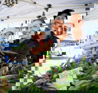 Greater Whitsunday Farmers Markets - South Australia Travel