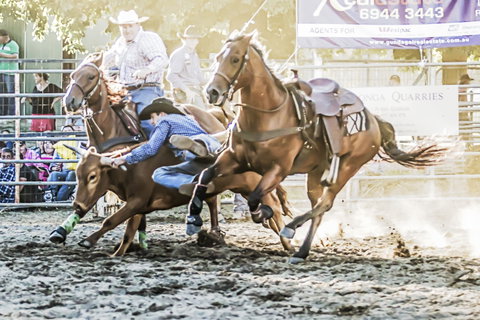 Gundagai Rodeo - South Australia Travel 0