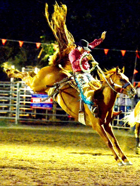 Gundagai Rodeo - South Australia Travel 1