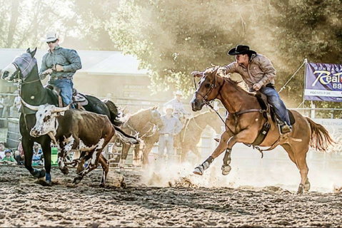 Gundagai Rodeo - South Australia Travel 2