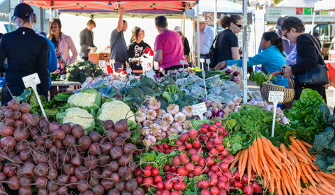 Harvest Launceston Community Farmers' Market - South Australia Travel 2