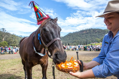 Horses Birthday Festival - South Australia Travel 0