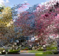 Leura Gardens Festival - Cancelled - South Australia Travel