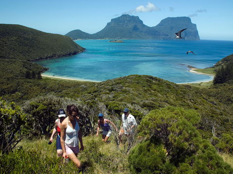 Lord Howe Island Bird Week - South Australia Travel 2