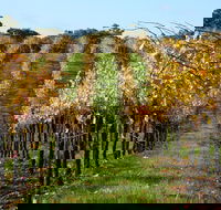 Miners Ridge Wine Tasting - South Australia Travel