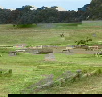 Mount Gambier and District Pony Club Horse Trials 2020 - South Australia Travel