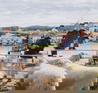 Mudgee Small Farm Field Days - South Australia Travel