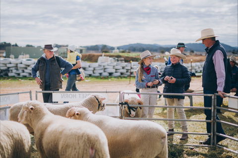 Mudgee Small Farm Field Days - South Australia Travel 0