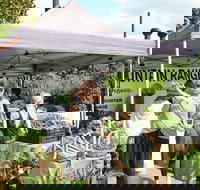 Nan Tien Health and Wellbeing Market - South Australia Travel