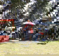 Narrabeen Lakes Festival - South Australia Travel