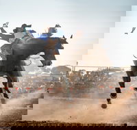 Rodeo by the Sea - Streaky Bay - South Australia Travel