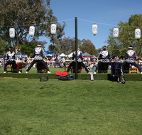 Sakura Matsuri  - Cherry Blossom Festival - in doubt due to Covid-19 - South Australia Travel