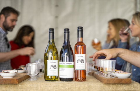 Southern Highlands Food And Wine Festival - South Australia Travel 2
