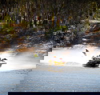 Southern 80 - South Australia Travel