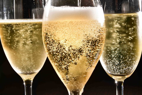 Sparkling Sydney - South Australia Travel 2