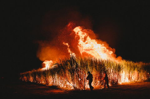 Sweet Days, Hot Nights Festival - South Australia Travel 1