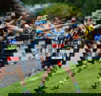 Sweat vs Steam - South Australia Travel