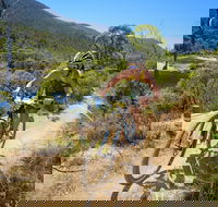 TreX Cross Triathlon Series  Snowy Mountains - South Australia Travel