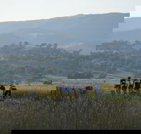 Tumut Cycle Classic - South Australia Travel