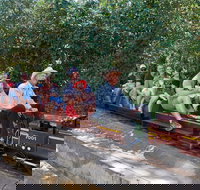 Twilight Run   Willans Hill Miniature Railway - South Australia Travel
