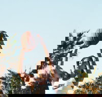 Wagga Social Netball - South Australia Travel